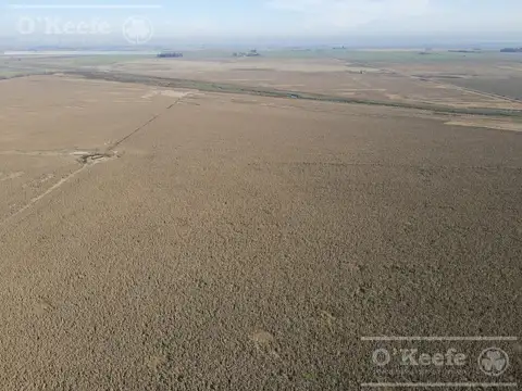 Campo en venta de 217 has en Rosario