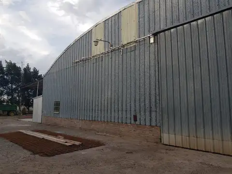 EXCELENTE GALPON. 500M2. TECHO PARABOLICO 6M (ALTURA MAXIMA) EN ALQUILER  EN IBARLUCEA.