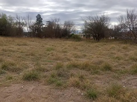 TERRENO EN VENTA UBICADO EN VILLA MERCEDES, SAN LUIS.
