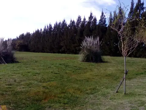 Terreno en Venta de 1300,0 m2