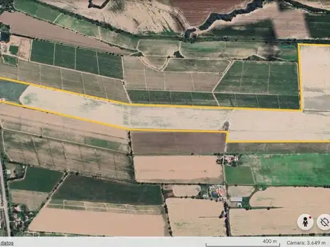 CAMPO VENTA 36 HECTAREAS RUTA 21 IDEAL PARA LOTEO