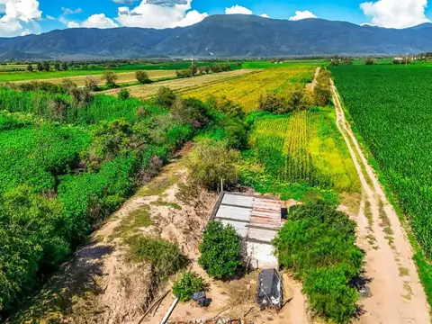 CAMPO VENTA 36 HECTAREAS RUTA 21 IDEAL PARA LOTEO