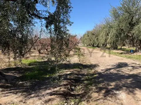 Terreno en Venta de 78200,0 m2