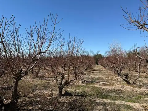 Terreno en Venta 193  mts Frente