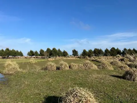 Terreno en Venta en Pinamar, USD 120.000