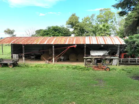 Campo en Venta de 230  ha