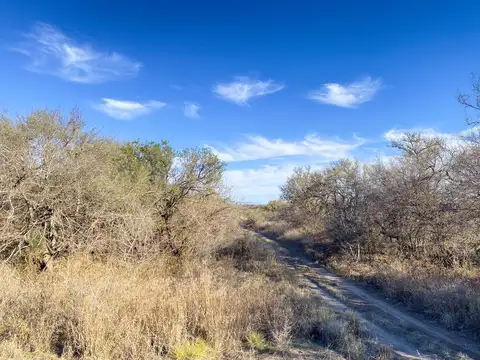 Terreno en Venta de 1500,0 m2