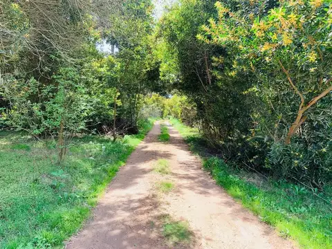 Venta Lote Rocha Santa Isabel de la Pedrera