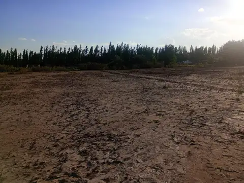 Terreno en Venta 150  mts Fondo