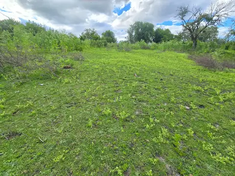 Campo de tres hectáreas en Colón, Entre Ríos