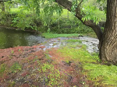 Campo de tres hectáreas en Colón, Entre Ríos