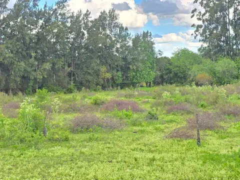 Campo en Venta de 3  ha
