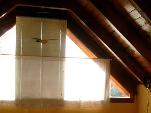 Amplia vivienda de ¾ dormitorios en Barrio Pinar del Lago, excelente estado