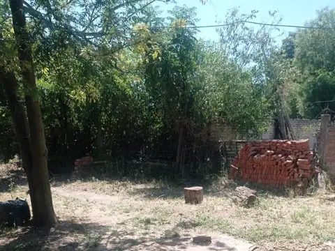 Domingo F. Sarmiento 300