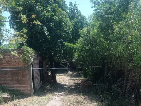 Domingo F. Sarmiento 300