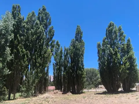 Terreno en Venta en Uspallata 3.000 m²