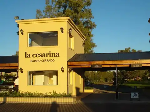 LA CESARINA 100