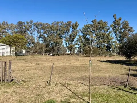 VENTA- 2 HECTAREAS Y CASA-EN AVENIDA ZONA URBANA