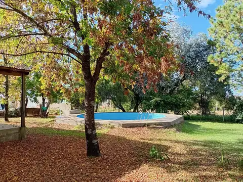 Colectora 100