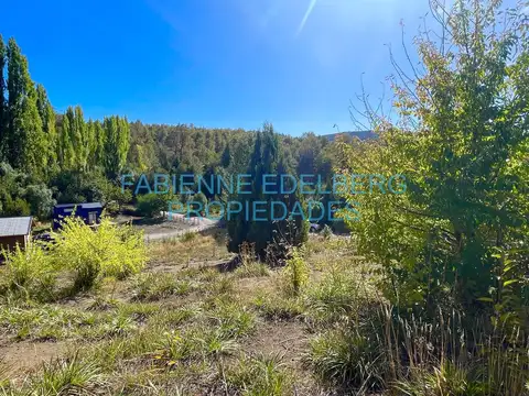 El Abrojal Ruta 62 camino al Lolog