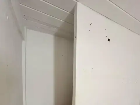 AV LURO 5000