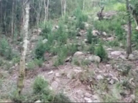 Terreno en Venta de 610,0 m2