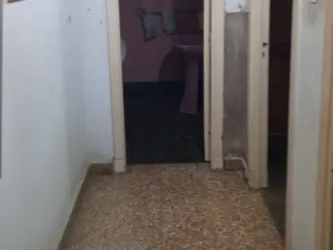 Diego Palma 1400