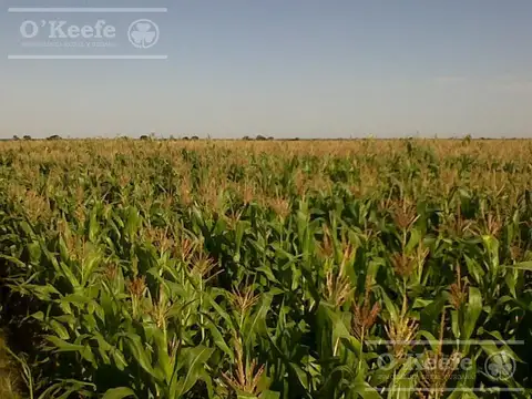 Campo en venta de 31000 Has en Santa Fe