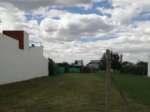 Terreno en venta Joaquin Gorina 500 m2