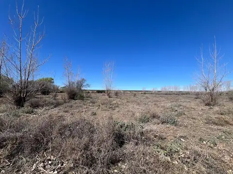 Terreno en Venta en Tunuyan, USD 350.000