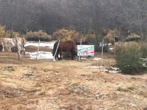 Campo - Venta - Argentina, Ushuaia