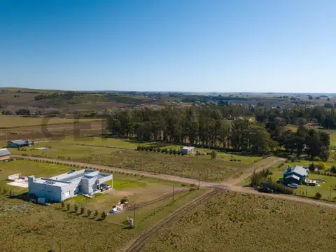 Los Cipreses 2300, Piso 0