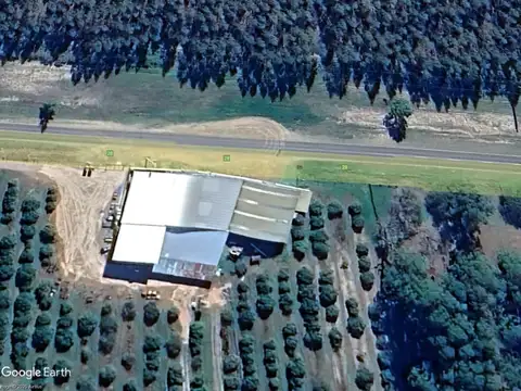 Establecimiento citrícola en venta – 75 hectáreas