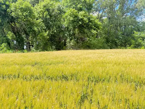 Campo en Venta Mixto