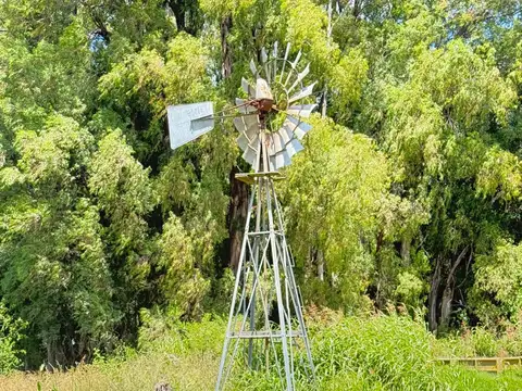 Campo en venta en Suipacha - 35 Hectáreas
