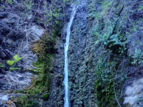 Campo  de 1400 hect. en San Cani ,Cordoba apto cria vacuna y aptitud agricola