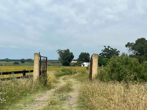 Ruta 87