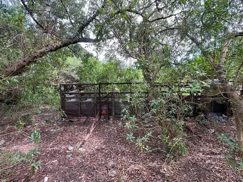CHACRA EN VENTA 6HAS SALINAS Ruta 87