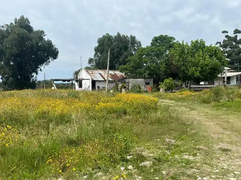 CHACRA EN VENTA 6HAS SALINAS Ruta 87