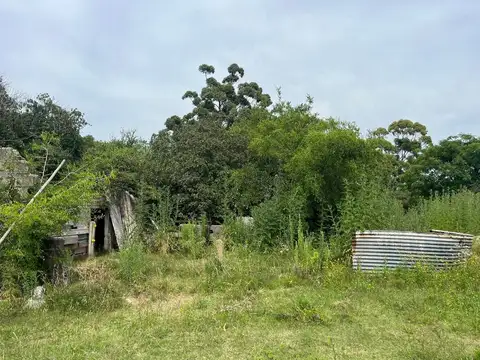 Ruta 87