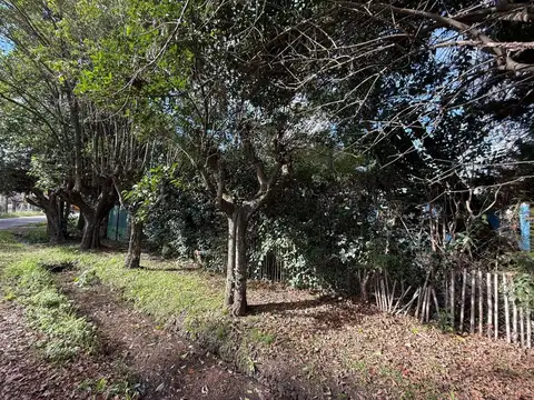 Calle 412 1000