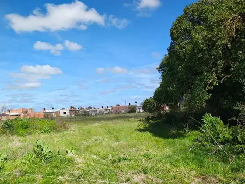 Lotes en venta en Dolores