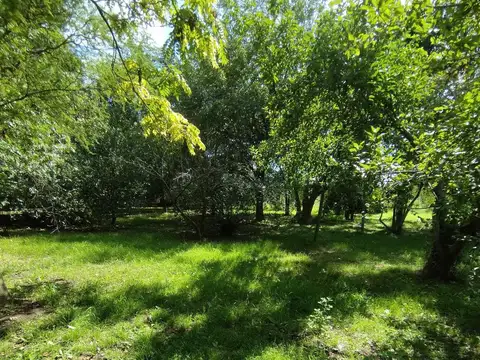 Terreno en Venta en Marcos Paz – Lote 2.500 m² con Arboleda
