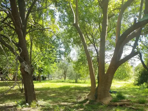 Terreno en Venta en Marcos Paz B El Moro, USD 35.000