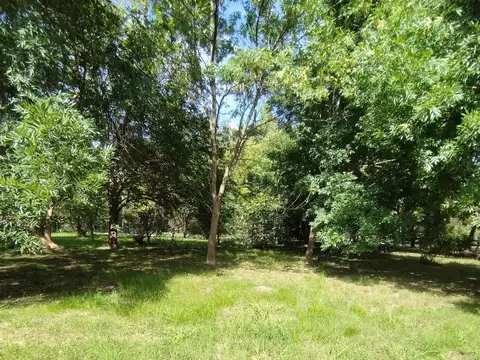 Terreno en Venta 50  mts Frente