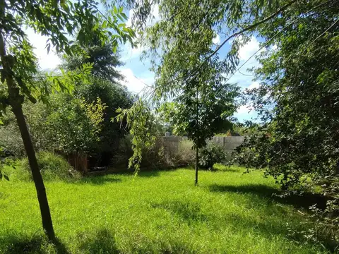 Tehuelches al 200