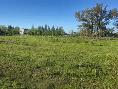 RUTA 47 Y LA CALANDRIA