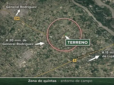 navarro 100