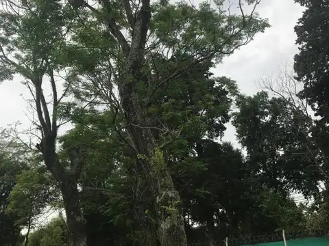 Terreno en Venta en Alvear de Benavidez, USD 94.000