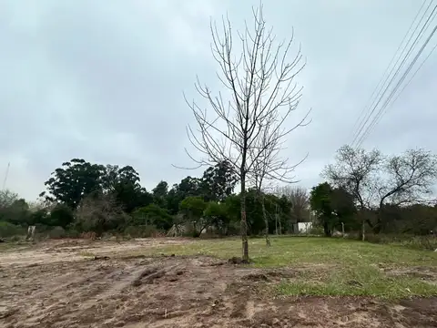 2 terrenos de 1090 m2 en Barrio El Bosque
